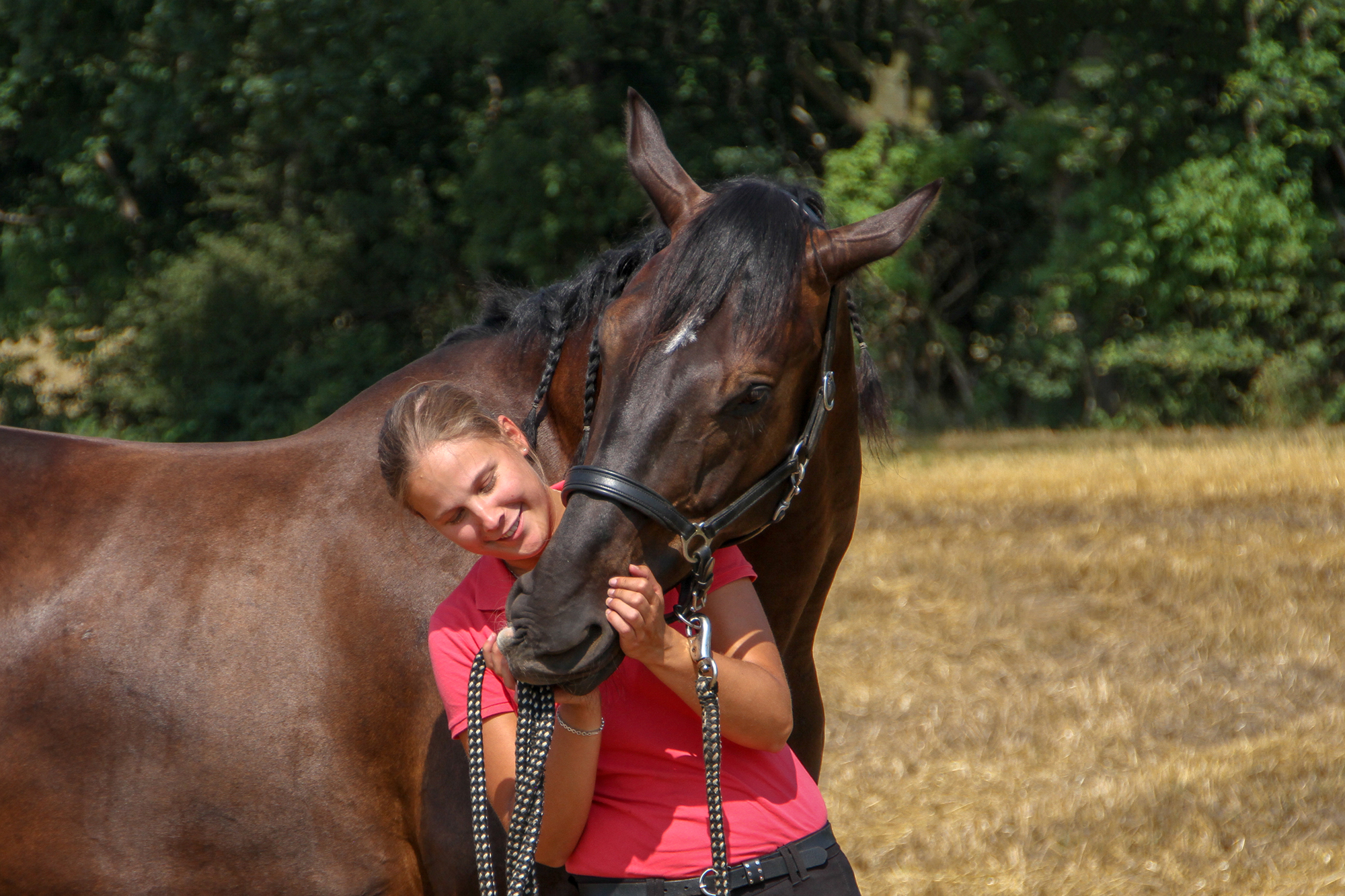 olympia fünfkampf partner pferd