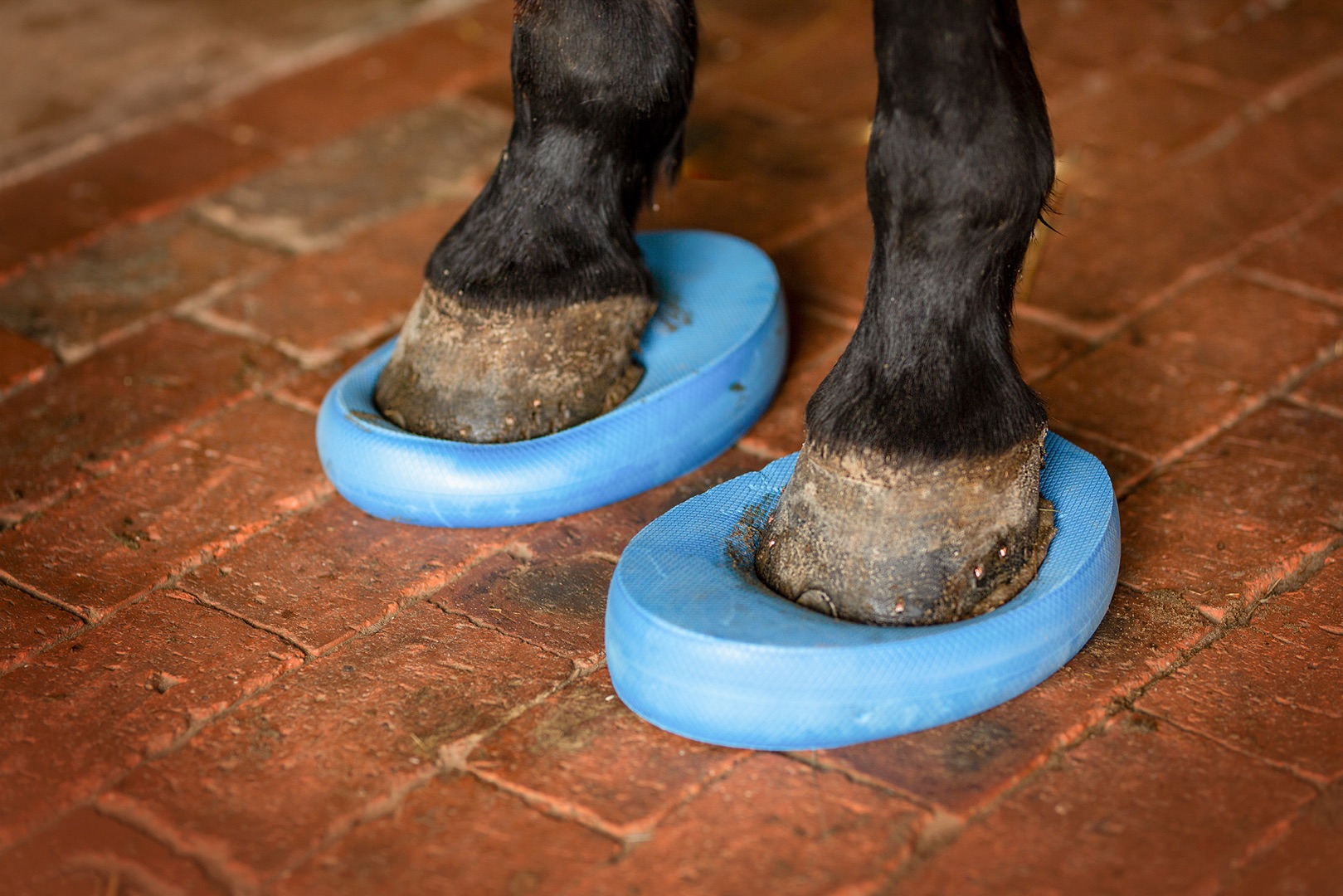 mobile file 2021 02 17 18 22 49 1