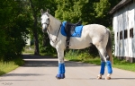 Anky / Cobalt