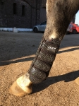 ANKY / Climatrol Dressage Boots Schwarz 