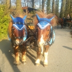 Bemützt / Fliegenmütze