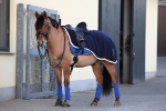 BR / Fleece Ausreitdecke Event Blau