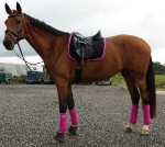 BR / HHS / Black-Very Berry