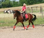 BR / HHS / Firered-Black