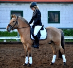 BR / HHS / White-Black-Silver