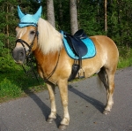 BR / HHS / Aqua-Legion-Gold