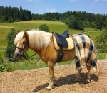 BR / HHS / Caramel-Choco