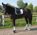 BR / HHS / Champagner-Burgundy