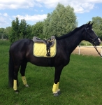 BR / HHS / Lemon-Lightgreen 