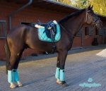 BR / HHS / New Mint-Mud