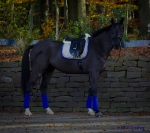 BR / HHS / Sand-Royal 