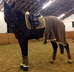 BR / HHS / Toffee-Yellow