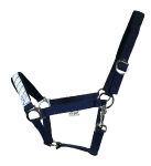 EQuest / EQ Globe Lime Marine