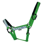 EQuest / EQ Globe Lime Marine