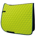 EQuest / EQ Globe Lime Marine