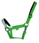 EQuest / EQ Globe Lime Marine