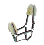 EQuest / Fresh Breeze