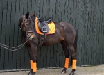 Equiva / 4Horses / Talent Orange-Pink