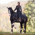 Equiva / 4HORSES / Cosmos Schwarz