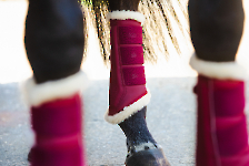 Eskadron / Reflexx Berryfusion-Deepgrey-Silkblue