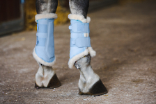 Eskadron / Reflexx Berryfusion-Deepgrey-Silkblue