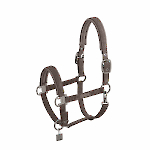 Eskadron / Classic Sports Frühjahr/Sommer 2024_1