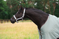 Eskadron / Classic Sports Frühjahr/Sommer 2024