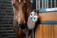 Eskadron / Classic Sports Frühjahr/Sommer 2024