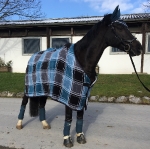 Eskadron / Sonderdralon Petrol-Black designed by pferdetrends