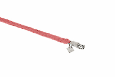 Eskadron Frühjahr/Sommer 2025