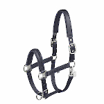 Eskadron Frühjahr/Sommer 2025