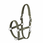 Eskadron Frühjahr/Sommer 2025