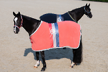 Eskadron Frühjahr/Sommer 2025