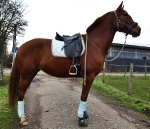 Eskadron / Mocca-Ice