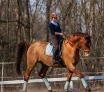 Eskadron / Mocca-Ice