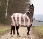 Eskadron / Rosa-Schlam