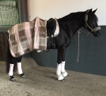 Eskadron / Rosa-Schlamm