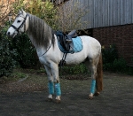 Eskadron / Petrol-Türkis-Creme