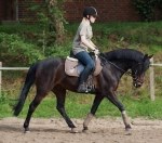 Eskadron / Chocochip-Pink-Creme