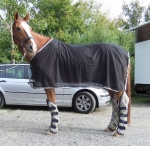 Eskadron / Nightblue-Yellow-Moon-White