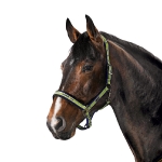 Eskadron Classic Frühjahr/Sommer 2010