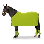 Eskadron Classic Frühjahr/Sommer 2010