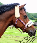 Eskadron / Maritim Navy-Chilli-White-Grey