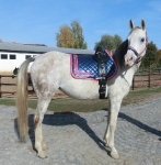 Eskadron / NG Negro-Orange-Navy-Red-White