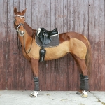 Eskadron / Hibiscus-Toffee-Banana-Espresso-Blue-White