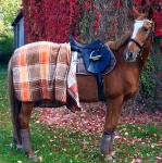 Eskadron / Hibiscus-Toffee-Banana-Espresso-Blue-White