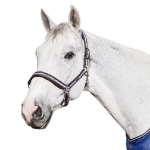 Eskadron Classic Frühjahr/Sommer 2014