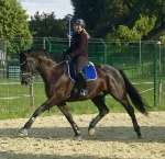 Eskadron / Hibiscus-Toffee-Banana-Espresso-Blue-White