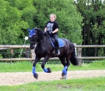 Eskadron / Hibiscus-Toffee-Banana-Espresso-Blue-White