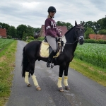 Eskadron / Hibiscus-Toffee-Banana-Espresso-Blue-White